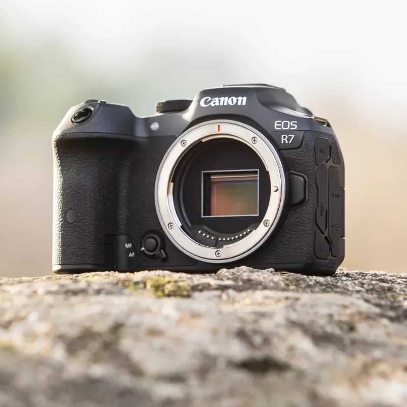 Canon EOS R7 MILC korpus 32,5 MP CMOS 6960 x 4640 pikslit must