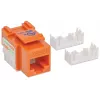 Intellinet Keystone Jack, Cat6, UTP, Punch-down, oranž