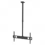 Manhattan Laekinnitus teleritele ja kuvaritele, Ekraanile: 37 inch kuni 75 inch, Reguleeritav kõrgus: 105-156 cm, VESA ühilduvus: kõik 200x200 kuni 800x400 mm vahel - kontrolli nelja kinnitusava mõõtmeid ekraani tagaküljel, et tagada sobivus, Maksimaalselt 50 kg, LFD, Kinnitusklamber