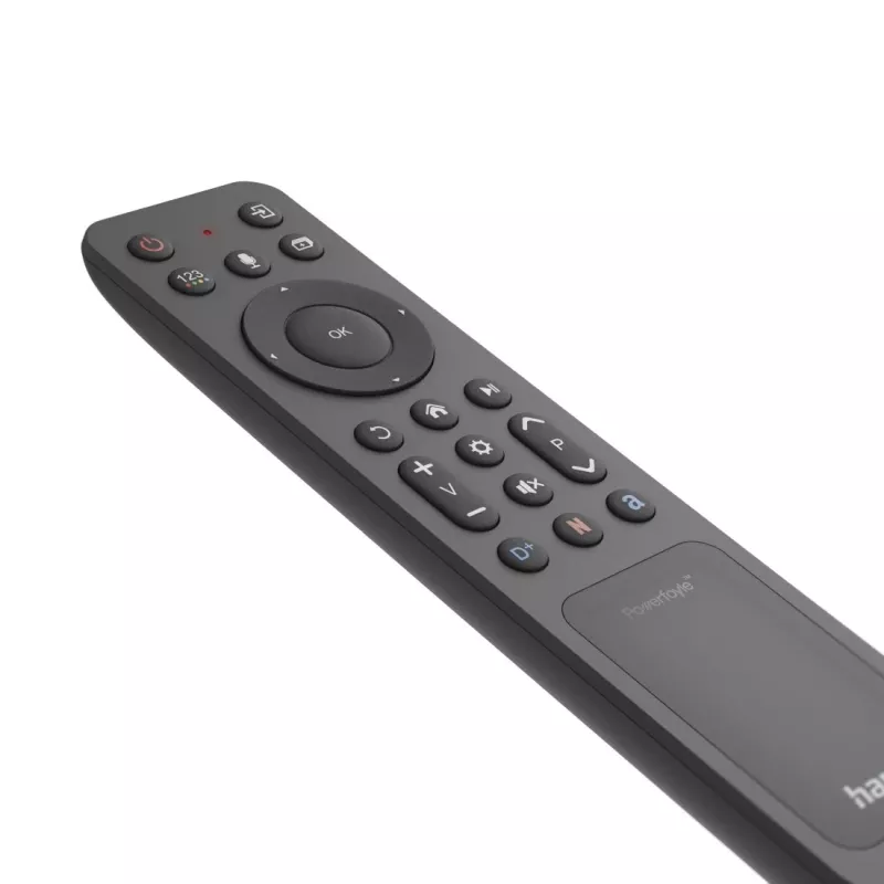 Hama 00221058 kaugjuhtimispult Bluetooth TV Press buttons