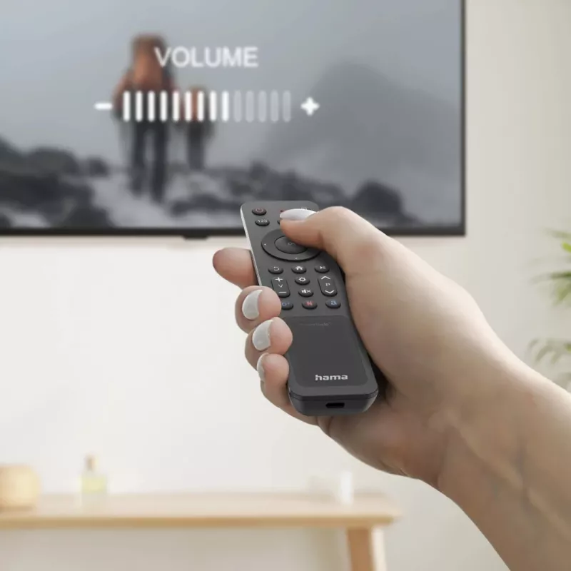 Hama 00221058 kaugjuhtimispult Bluetooth TV Press buttons
