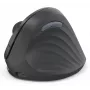 Hama EWM-600R hiir Kontor Paremakäeline RF-juhtmevaba + Bluetooth Optiline 1800 DPI