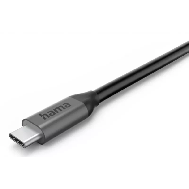 Hama Connect2Office Speed USB 3.2 Gen 1 (3.1 Gen 1) USB-C 40000 Mbit/s antratsiit