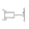 InLine Premium Aluminium Wall Mount for lame TV 37-80 inch Valge 70 kg