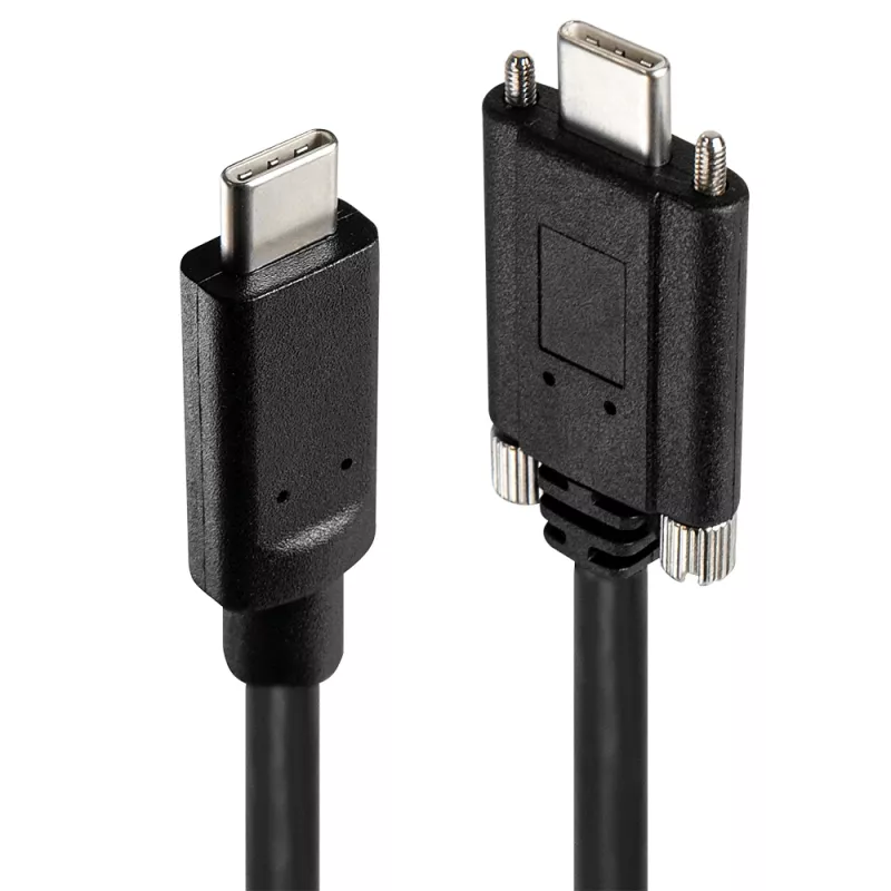 USB-jaotur Lindy 4 pordiga USB 3.2 Gen 2 USB-C metallist jaotur