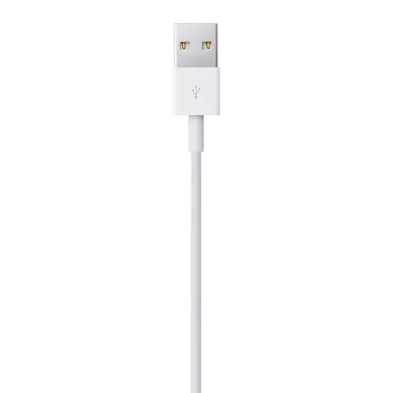Lightning kaabel Apple MD818ZM/A 1m Valge