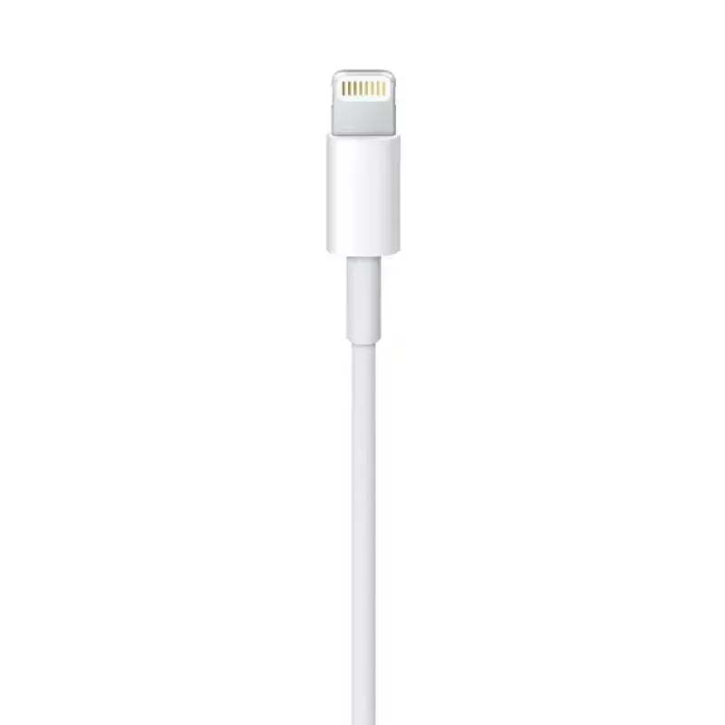 Lightning kaabel Apple MD818ZM/A 1m Valge