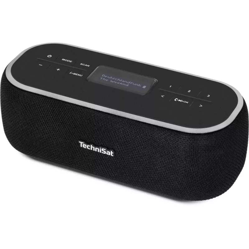 Kaasaskantav raadio TechniSat 0000/3968