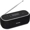 Kaasaskantav raadio TechniSat 0000/3968