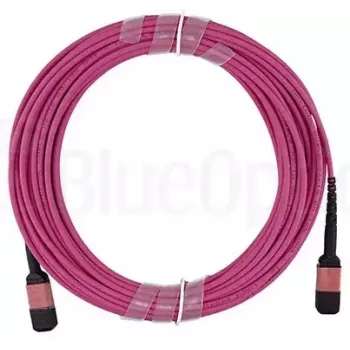 Fiiberoptiline kaabel BlueOptics 106283-5401-BO MTP 4xLC OM4 1 m Roosa