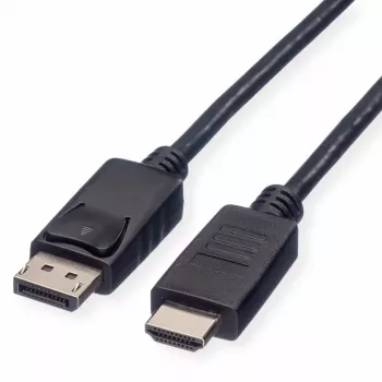 DisplayPort ROLINE 11.44.5782-10 HDTV must