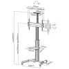InLine Reguleeritava kõrgusega telerikäru, LED-TV-le 37–70 tolli (94–178 cm), max 50 kg