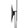 InLine Reguleeritava kõrgusega telerikäru, LED-TV-le 37–70 tolli (94–178 cm), max 50 kg