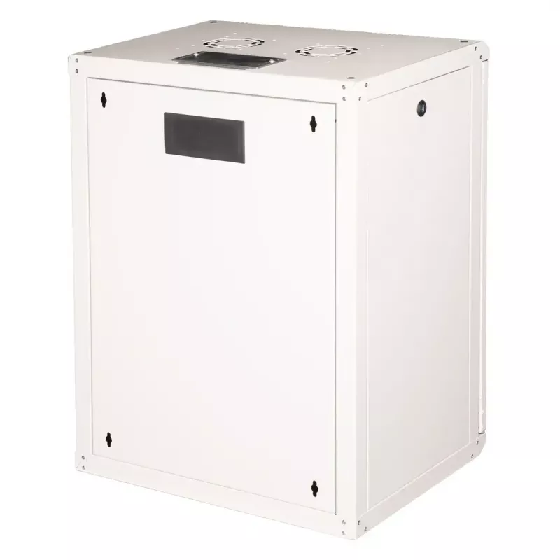 Seinale kinnitatav 19-tolline riiulikapp ROLINE Pro 16U 600x450 mm, hall, võtmelukk, IP20