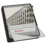 Puuritera komplekt Bosch 2 607 010 538