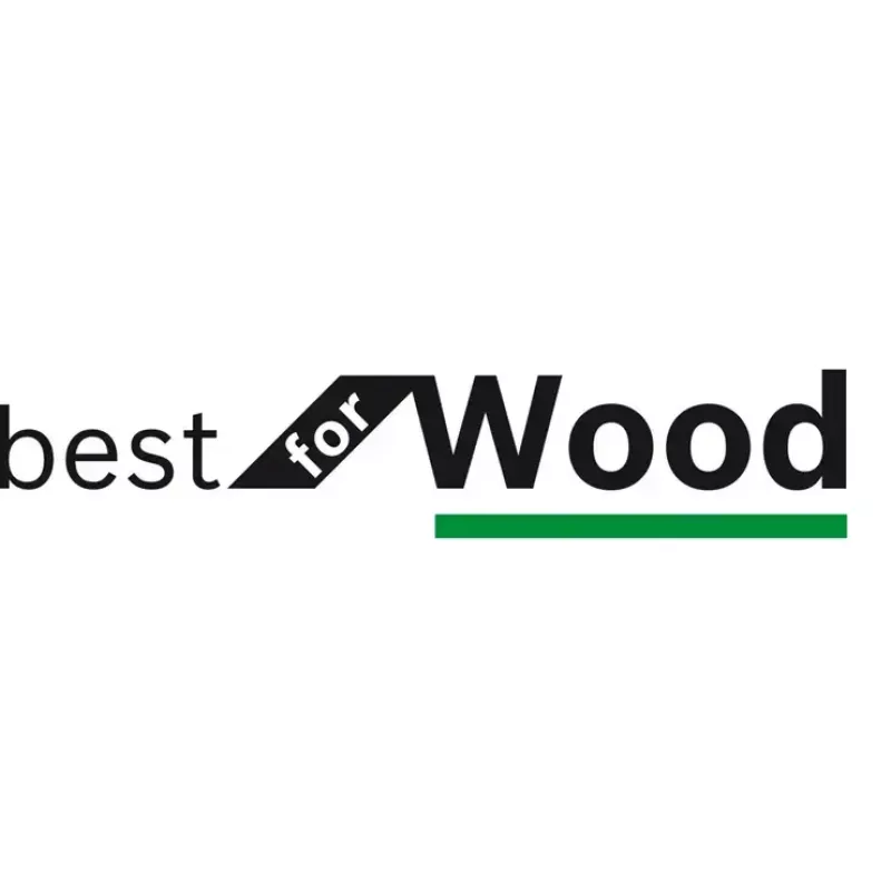 Bosch Best for Wood ketassaag 16,5 cm