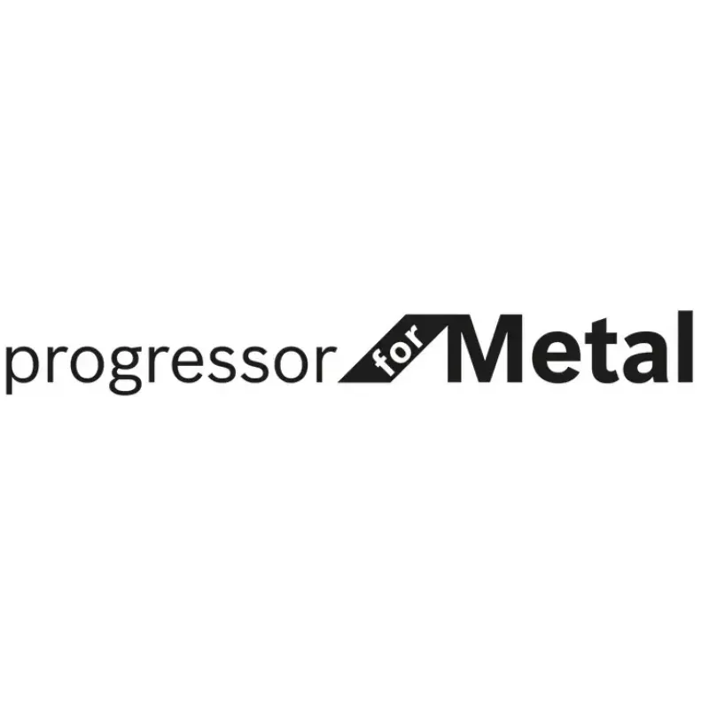Tikksaeleht Bosch S 123 XF Progressor for Metal 10 cm HCS