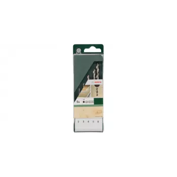 Puuriterade komplekt Bosch 2609255326 5 tk