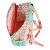 Koolikott Herlitz Rookie Sweet Jungle roheline Peach Polyester