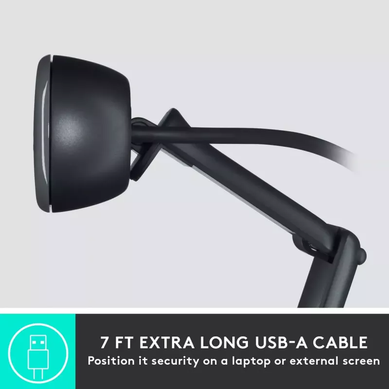 Veebikaamera Logitech C505 HD 1280x720 USB Must
