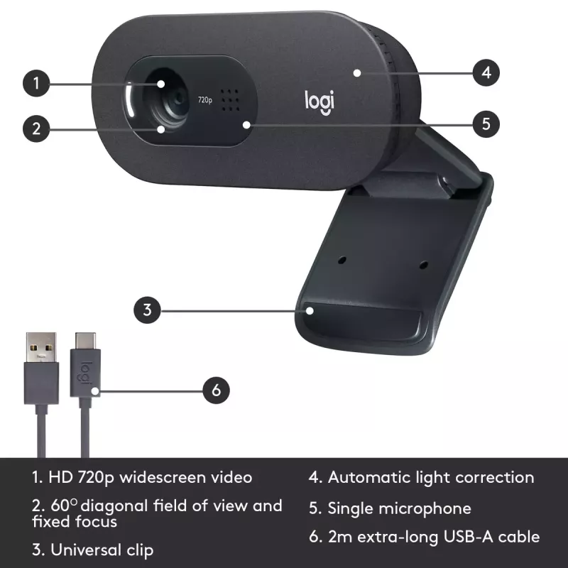Veebikaamera Logitech C505 HD 1280x720 USB Must