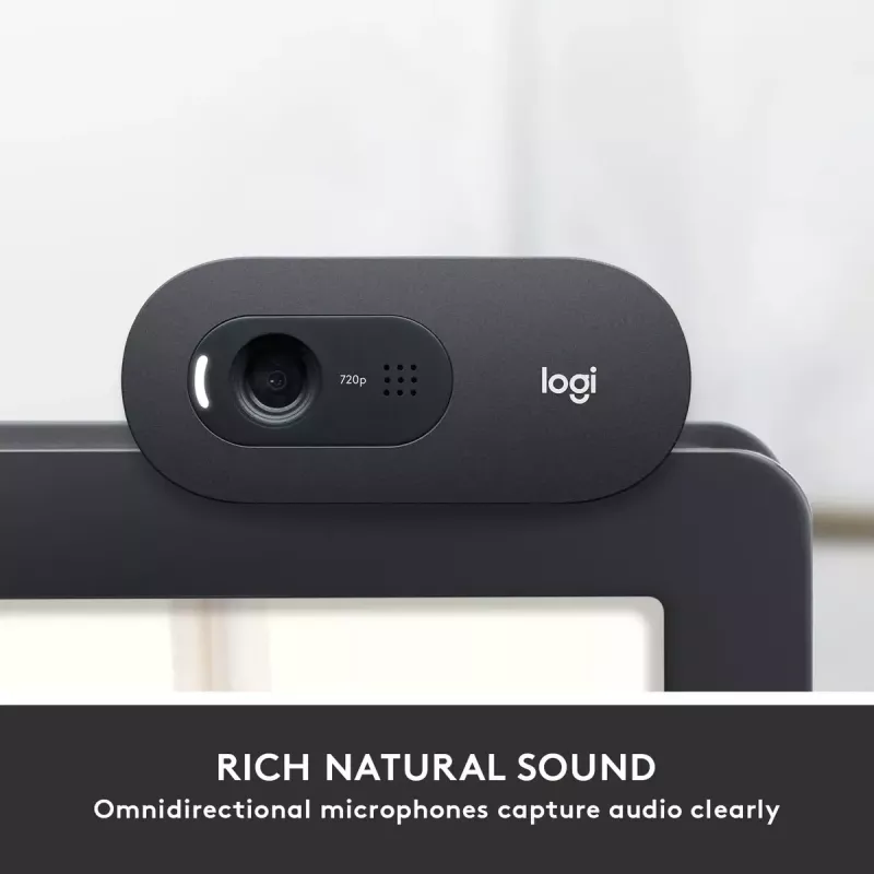 Veebikaamera Logitech C505 HD 1280x720 USB Must