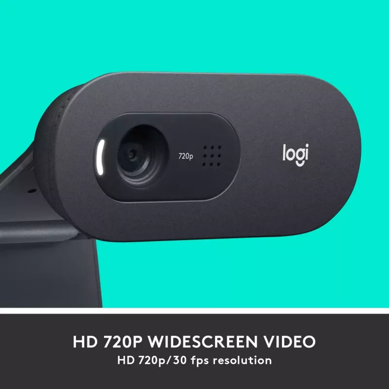 Veebikaamera Logitech C505 HD 1280x720 USB Must