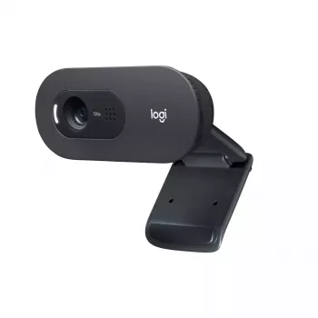 Veebikaamera Logitech C505 HD 1280x720 USB Must