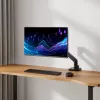ACT Monitori käsi 49 tolli kontori premium gaasivedru 1 monitor Klambriga/Auguga 20 kg