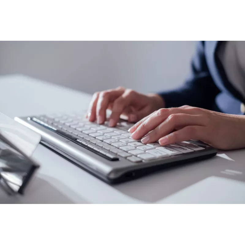 BakkerElkhuizen S-Board 840 DE Qwertz, Tenkeyless (80–87%), juhtmega, USB, käärmeklähviti, QWERTZ, helehall, valge