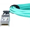InfiniBand/kiudoptiline kaabel BlueOptics BO353503J1M-BO 1 m SFP+