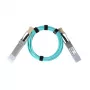 BlueOptics CBL-550-BO InfiniBand fiiberoptiline kaabel 50 m QSFP28 akva