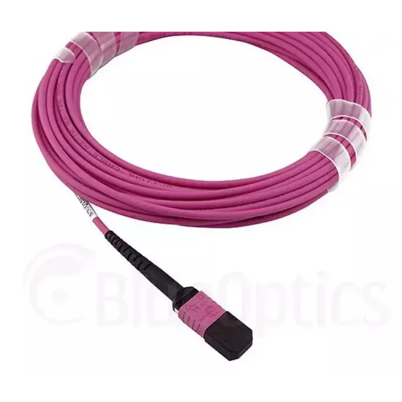 BlueOptics CBL-MPO12-OM4-2M InfiniBand fiiberoptiline kaabel MPO 2m OM4