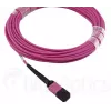 BlueOptics CBL-MPO12-OM4-3M-BO MPO fiiberoptiline kaabel 3m OM4 50µm