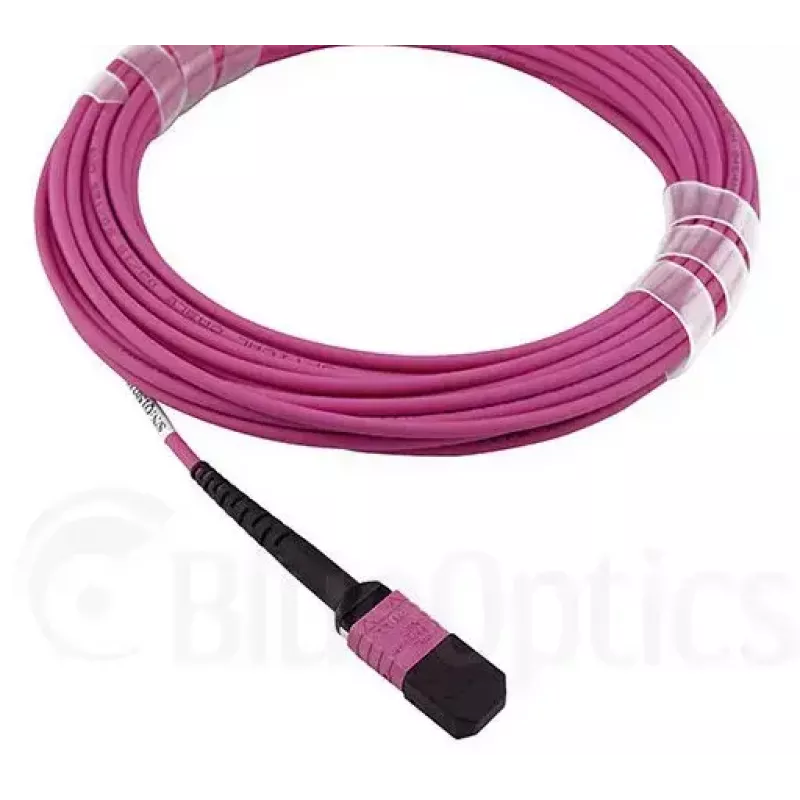 BlueOptics CBL-MPO12-OM4-3M-BO MPO fiiberoptiline kaabel 3m OM4 50µm