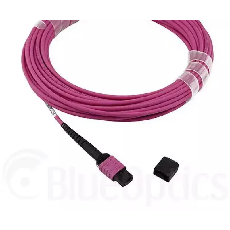BlueOptics CBL-MPO12-OM4-3M-BO MPO fiiberoptiline kaabel 3m OM4 50µm