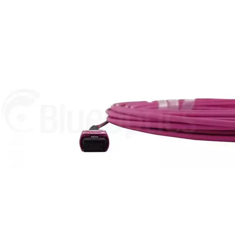 BlueOptics CBL-MPO12-OM4-3M-BO MPO fiiberoptiline kaabel 3m OM4 50µm