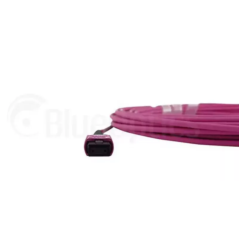 Fiiberoptiline kaabel MPO BlueOptics CBL-MPO12-OM4-5M-BO 5 m OM4 50 µm