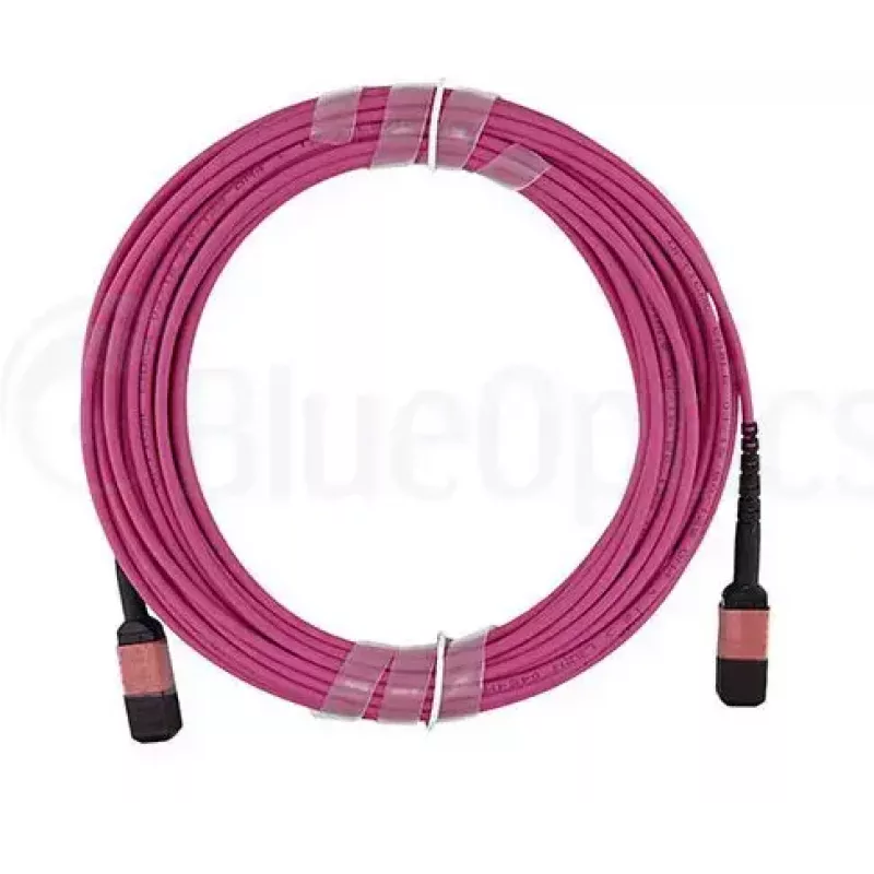 Fiiberoptiline kaabel MPO BlueOptics CBL-MPO12-OM4-5M-BO 5 m OM4 50 µm