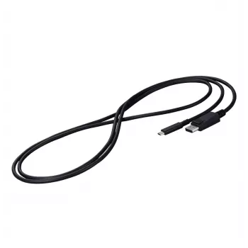 EIZO CP200-BK DisplayPort kaabel 2 m USB USB-C must