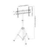 Techly ICA-TR17T teabekuvari kinnitus 177,8 cm (70 tolli) Must