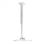 Chief KITEC045080W projektsiooni kinnitus Ceiling Valge