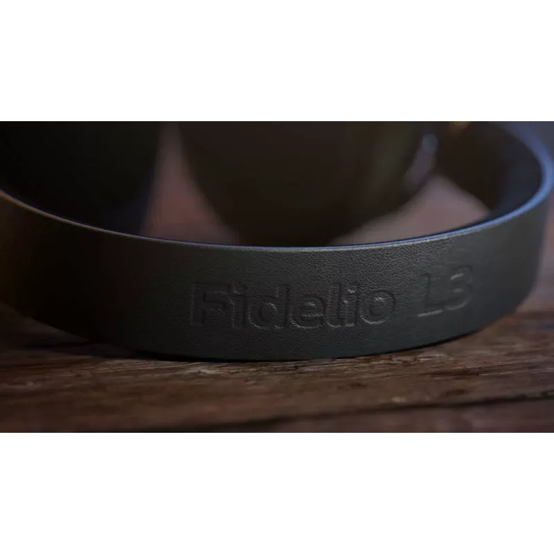 Kõrvaklapid Philips Fidelio