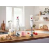 Bosch MSM24500 segisti Püstmikser 400 W Punane, Valge