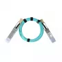 BlueOptics QSFP-AOC-3M-MV-BO InfiniBand fiiberoptiline kaabel 3m Isane/Isane
