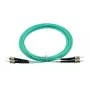 BlueOptics SFP3333EU15MK InfiniBand fiiberoptiline kaabel 15 m ST