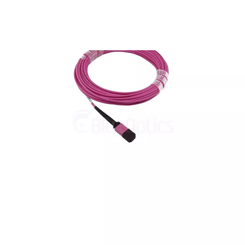 Fiiberoptiline kaabel BlueOptics SFP5252FU50MKB MPO OM4 50 m Violetne