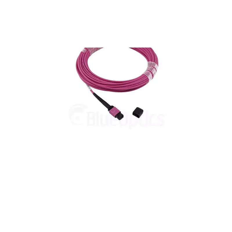Fiiberoptiline kaabel BlueOptics SFP5252FU50MKB MPO OM4 50 m Violetne