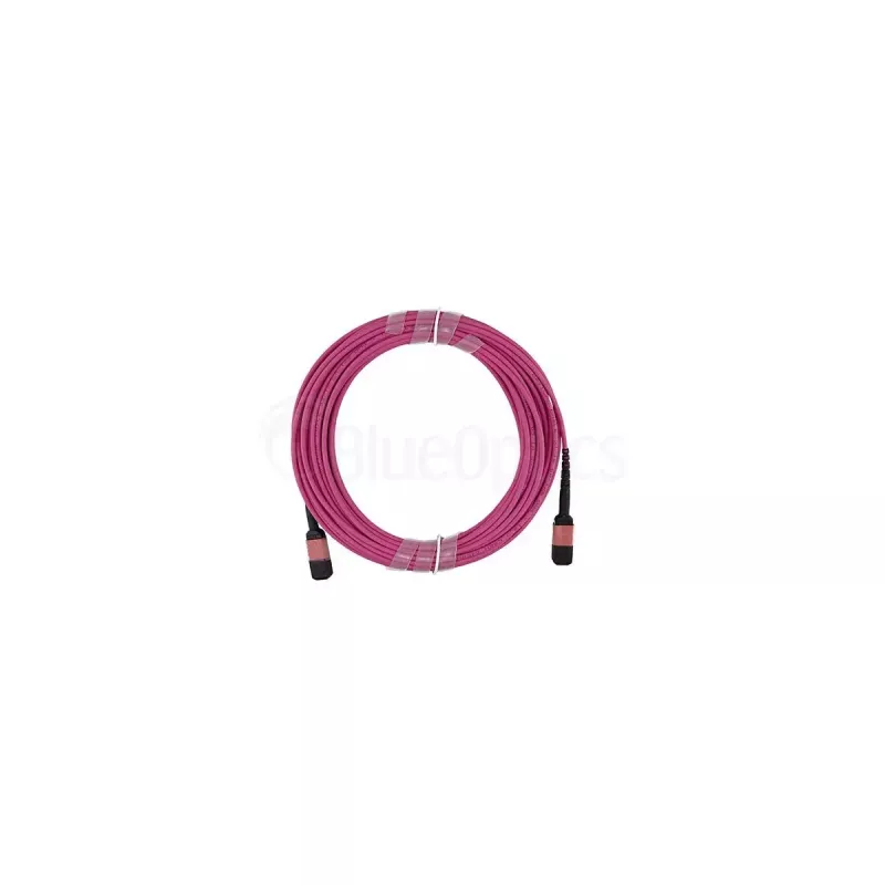 Fiiberoptiline kaabel BlueOptics SFP5252FU50MKB MPO OM4 50 m Violetne