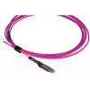 Fiiberoptiline kaabel BlueOptics SFP9231FU2MK MDC LC OM4 2 m magenta